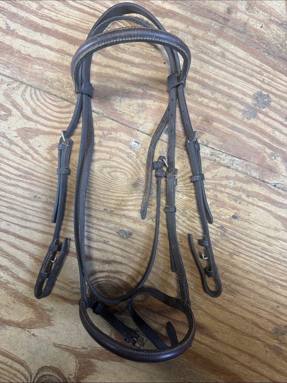 Pony bridle